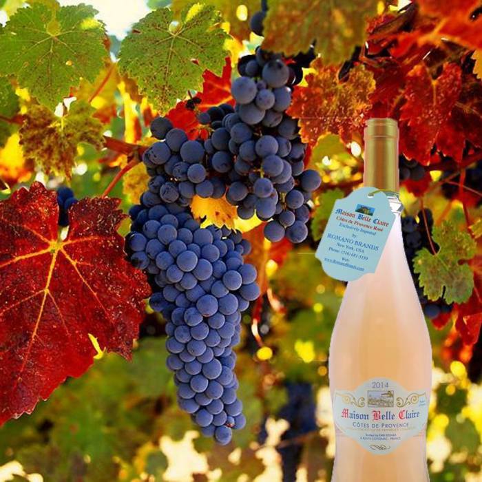 14079686_514027288788290_1000708781746600070_n